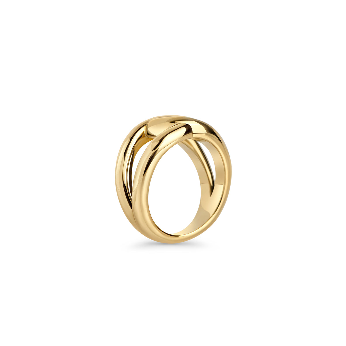 Two-Tone Intertwined Ring | Stainless Steel | MIAJWL – Mia Bijoux